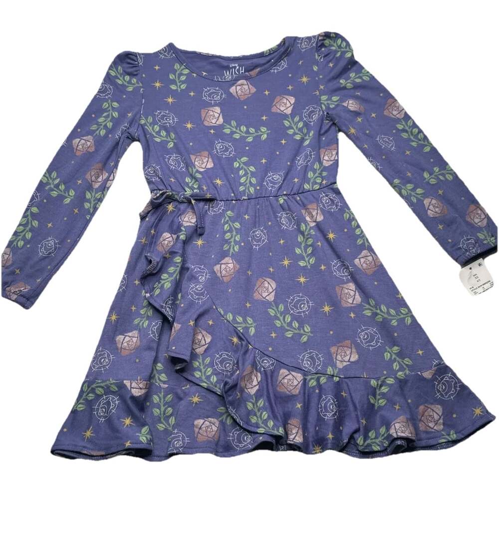 Disney Wish Dress Girls Size Large (10/12) Long Sleeve Purple Roses